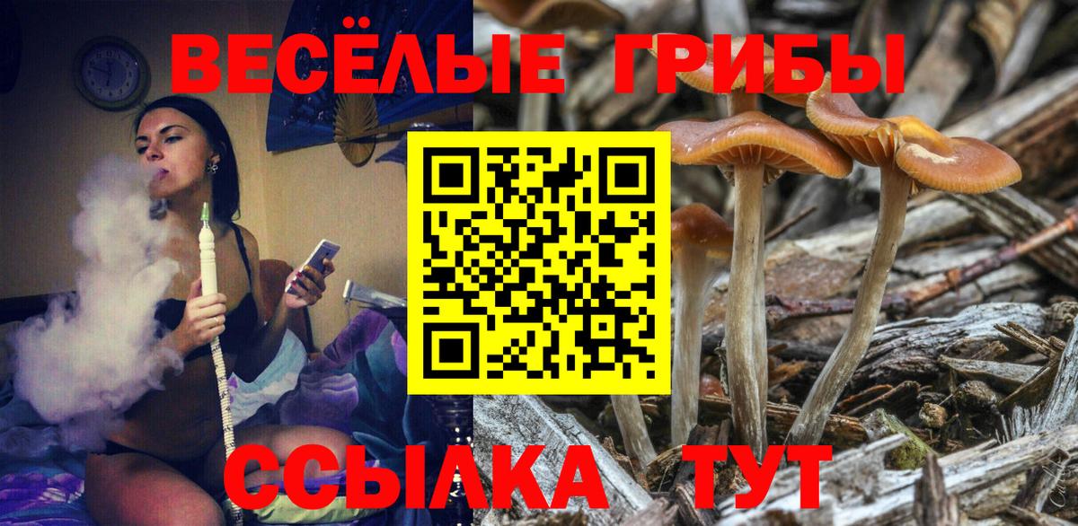 магазин    Вход с VPN  Гусиноозёрск  Псилоцибиновые грибы Magic Shrooms  Псилоцибиновые грибы мицелий 